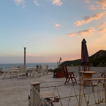 Apartments Mirian Petrovac 외부 사진