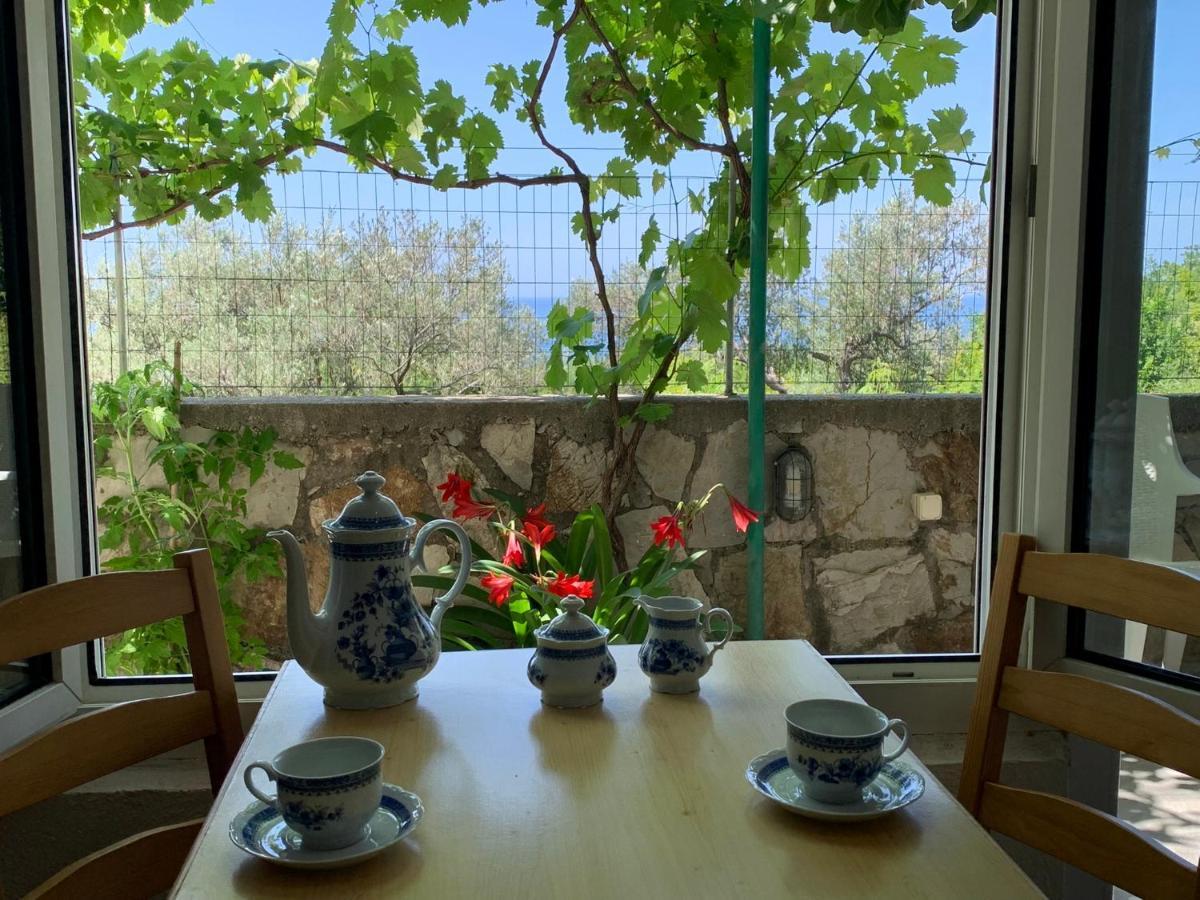 Apartments Mirian Petrovac 외부 사진