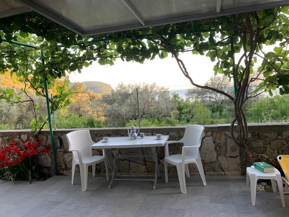 Apartments Mirian Petrovac 외부 사진