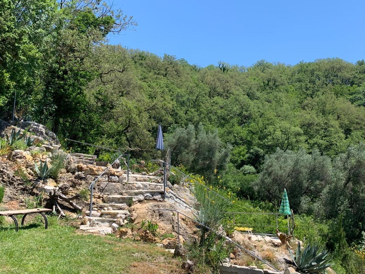 Apartments Mirian Petrovac 외부 사진