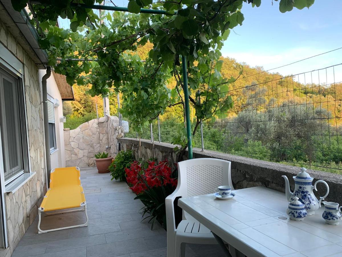 Apartments Mirian Petrovac 외부 사진