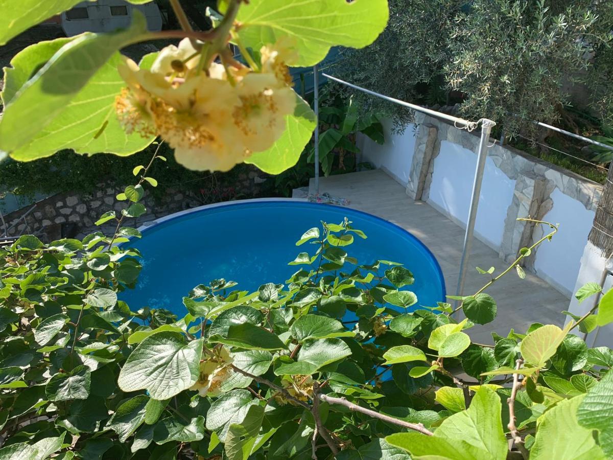 Apartments Mirian Petrovac 외부 사진